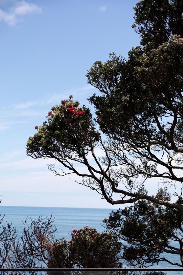 Oakura Beach Front Apartments Dış mekan fotoğraf